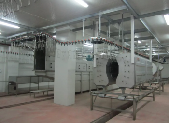 Poultry production business (poultry growing, slaughtering and processing)